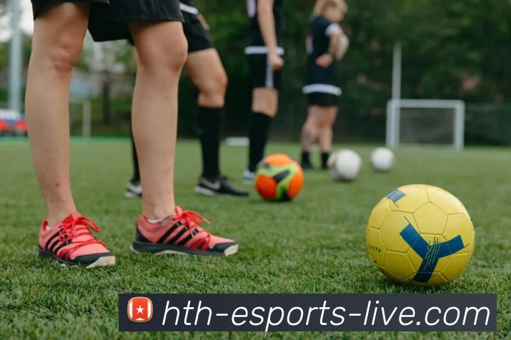 App Interface Preview